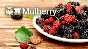 Mulberry桑葚